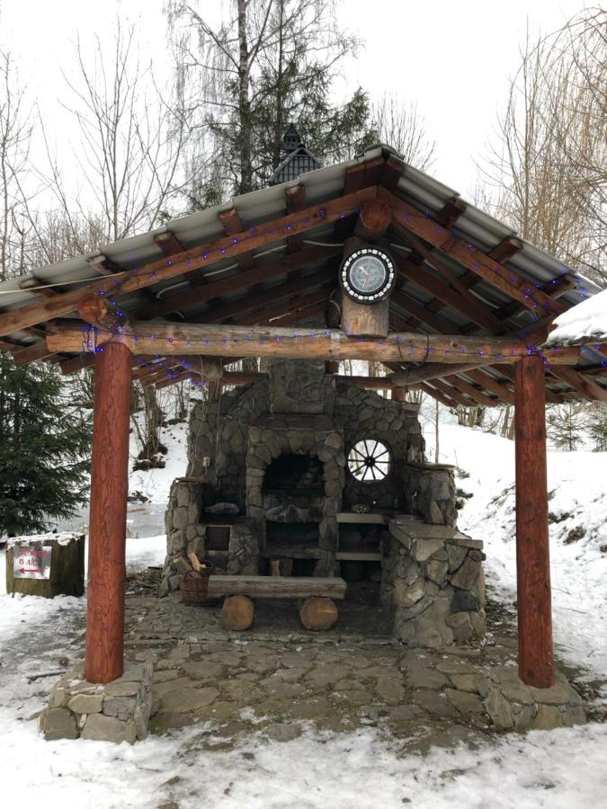 Будинок Художника Шипіт Pilipets Exterior foto